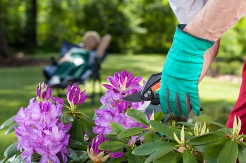 Inspector examining planting beds during a complaints investigation