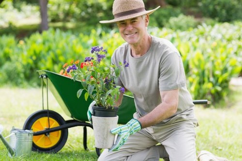 Autumn garden care in an urban Notting Hill setting